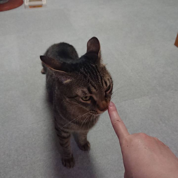 70950126 6938 42f6 83d7 ed2b0bbf4dc6 1525254426741