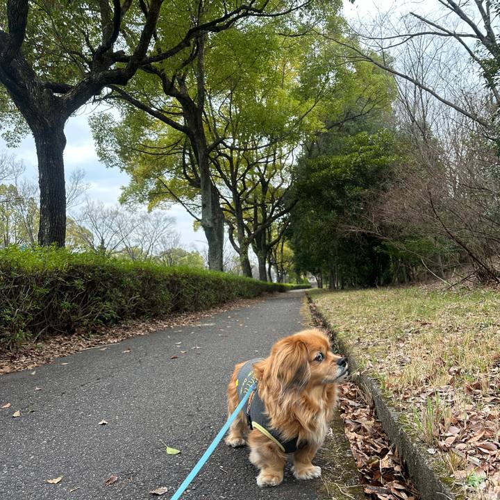 70951c16 4b49 467c 82e7 b9053f509978 1710633025723