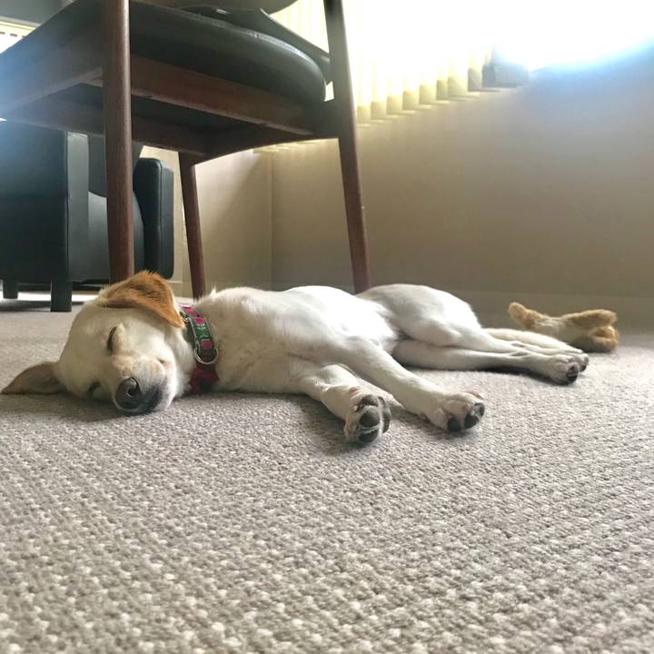 70952af3 b55e 42cc beae 85d34504b8b3 1523761006576