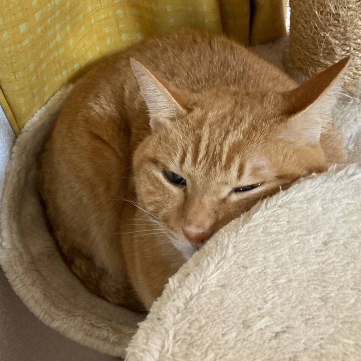 70953642 5505 43eb 8447 314f4170eb6f 1765758571828