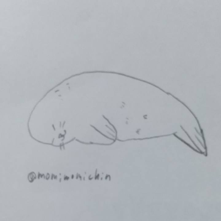 70954797 0ee4 429c 8952 1d766252dd00 1629419071234