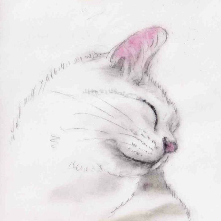 7095a03c 7658 425e a6b0 ac1c4b9cbf8c 1638459742342