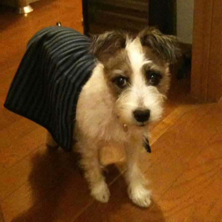 7095b8e3 556f 49f7 a5a0 4fad78969e1d 1701701835587