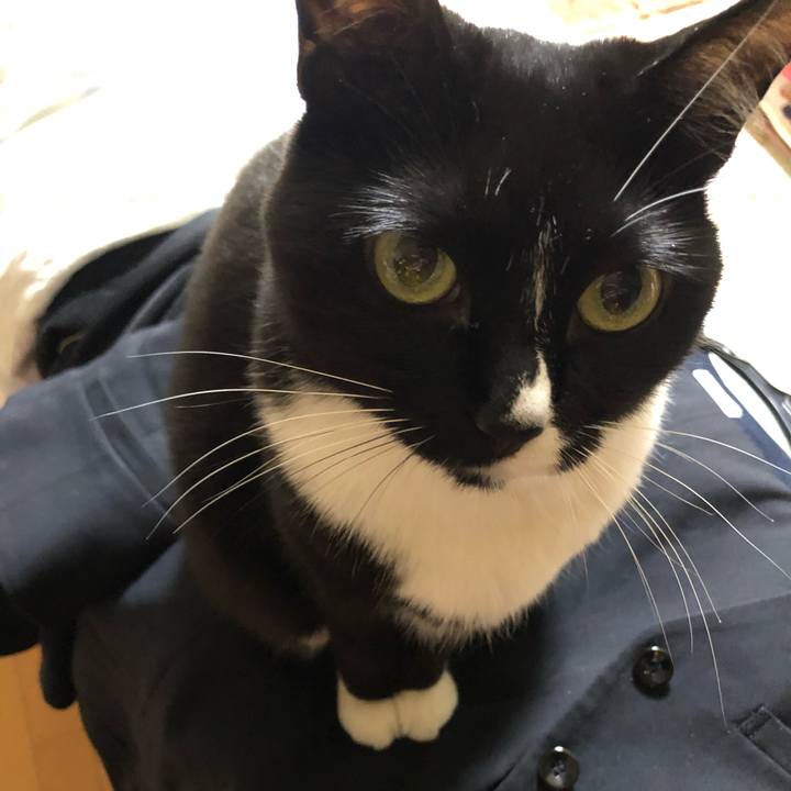 7095cdc4 7338 4a9d 8554 725e3643e65f 1574808456635