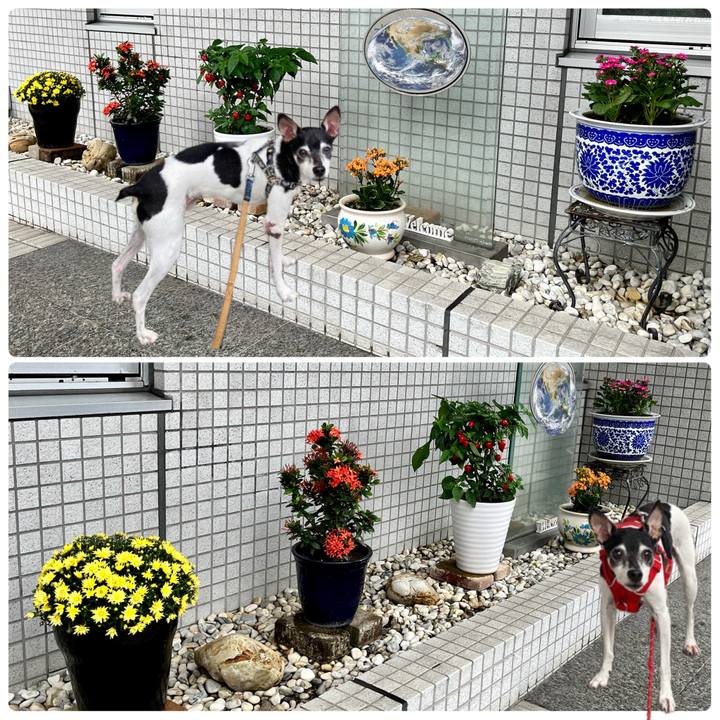 7095d262 f384 4ec3 9011 01d24357121f 1665446407154