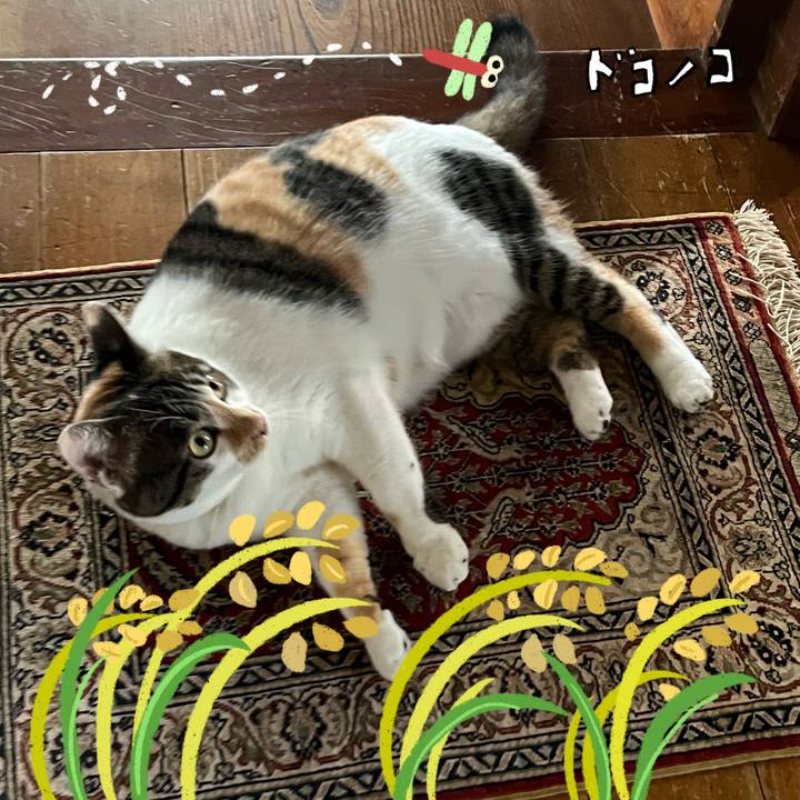 709609c0 ac2e 4b20 a5e7 bb803dcaec0d 1761645796589