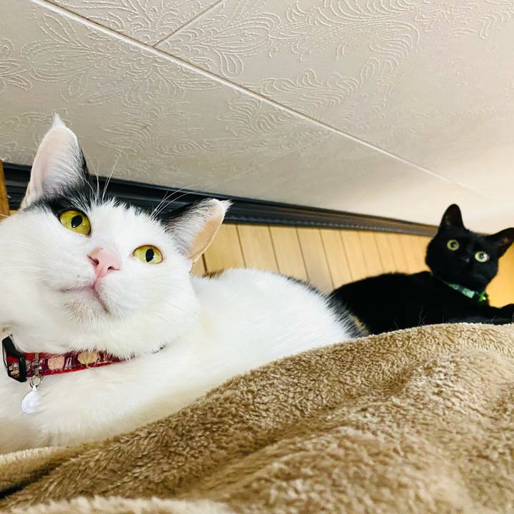 7096181a b046 45cc 90d8 64f4b4d9e05e 1674079024575