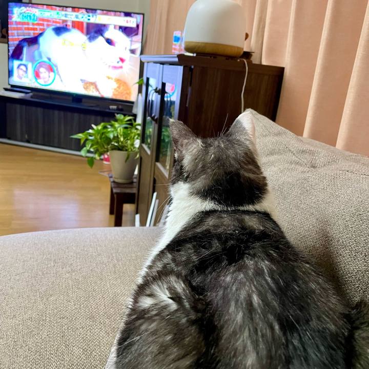 7096191e 9396 42ad 8f49 a1e73a8a89d2 1758364210847