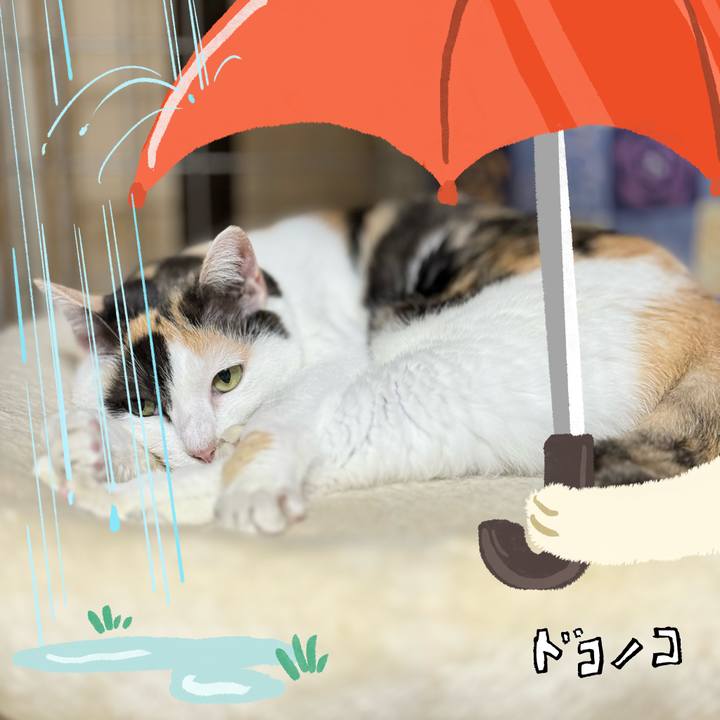 7096213b 5e8e 407b 9b75 426960c07bc6 1749181215328