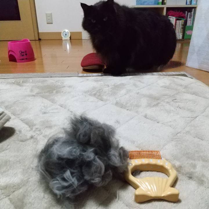 70963443 441e 416b ac12 ed3690e9095c 1674466115341