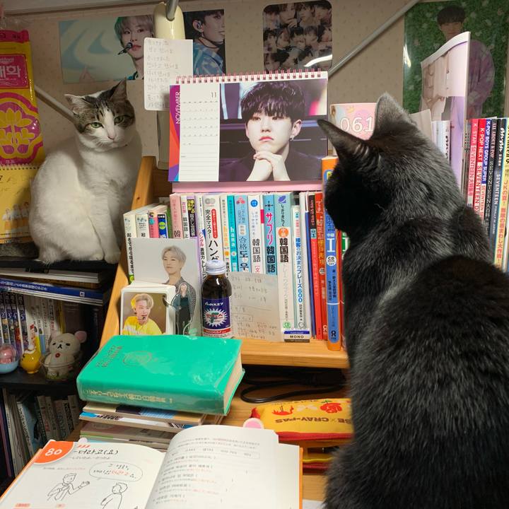 70967080 d3cc 4298 97bb cc4035d23c71 1605503205840