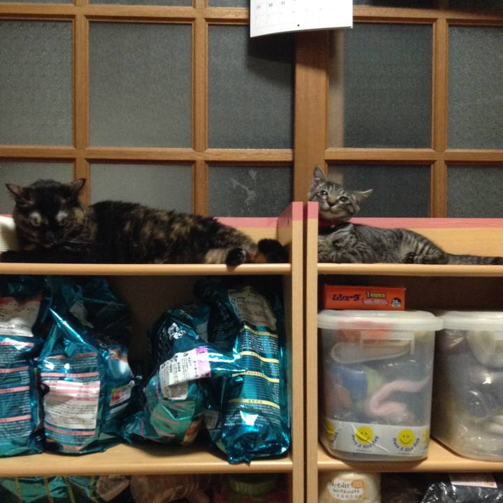 709695e5 5d90 4c9b 8966 fc036290ea22 1531058047500