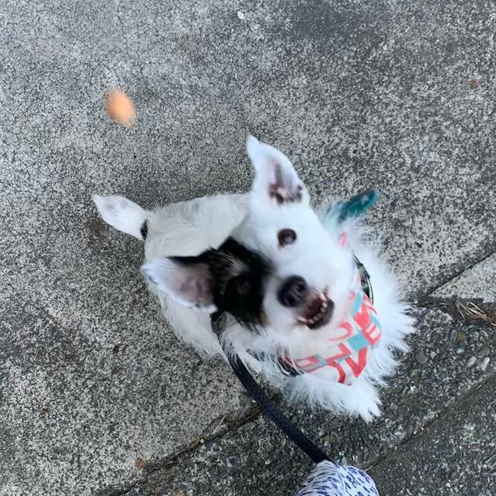 7096df1b b49f 41ab 8ef0 4c36b2d6393e 1755991943340