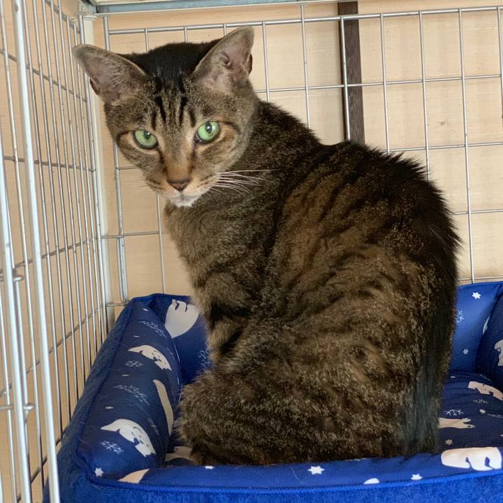 709718bc 64e3 42b3 89fa fc1840f75215 1565310165415