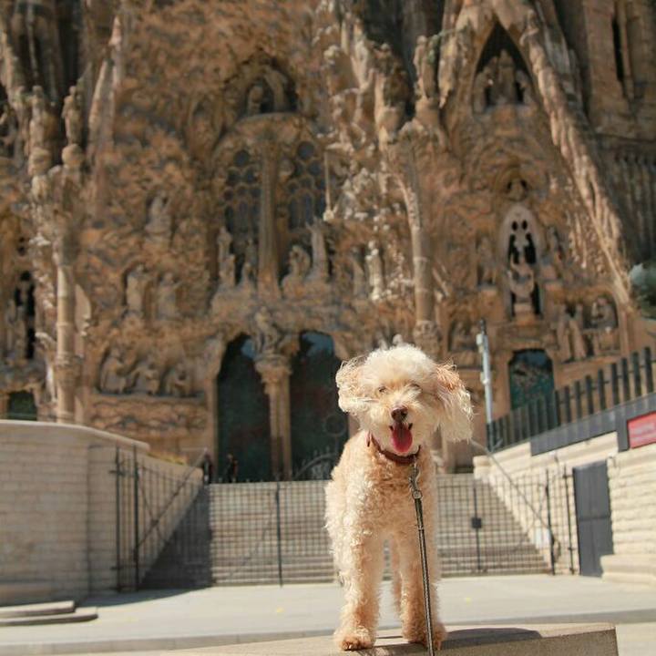 709724c4 eebd 494d 9f93 5c2b8b225d83 1594295933875