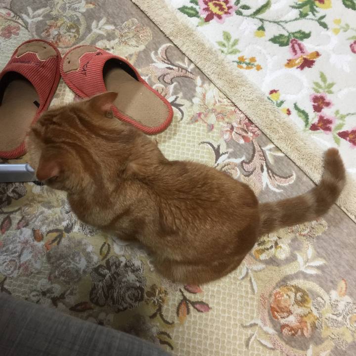 7097262d ba6d 4f8f aad7 1b219b55593e 1556116436597