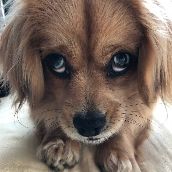 70975094 46a4 4cd7 8896 34cb94edd799 1521245018353