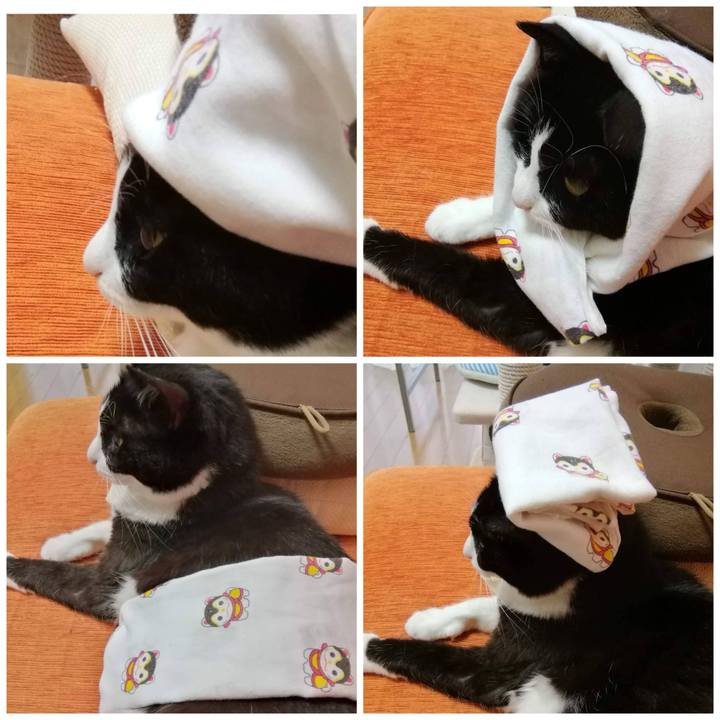 709760e9 14d1 431d bb3f 77ffd5b33868 1596796271197