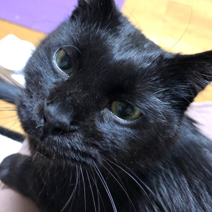 70976148 72be 4906 90d9 ae7d4eb2314a 1607100278840