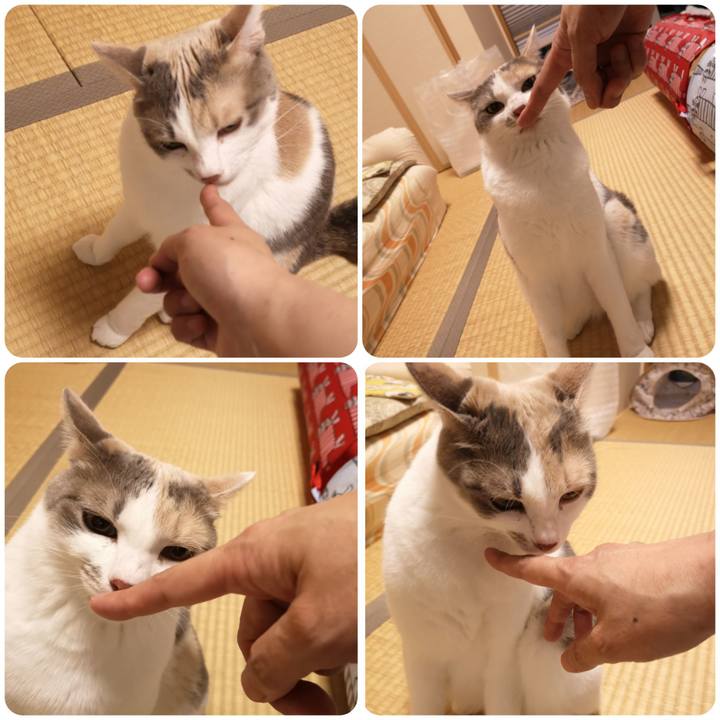 70978023 5eaf 4ade a69d f688ecc9a566 1559479923640