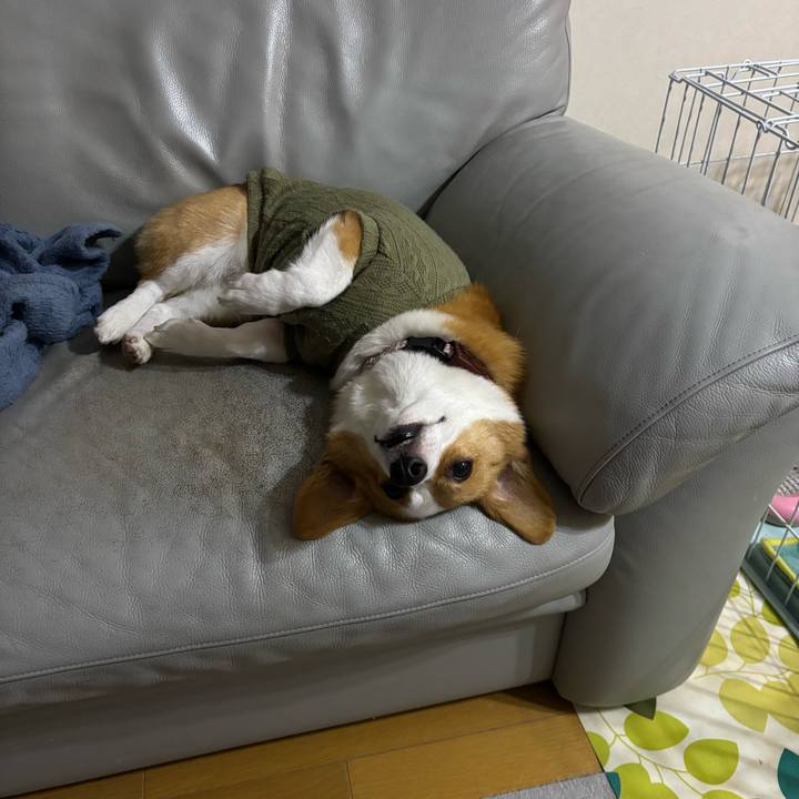 709780a3 f4e7 44c9 901f a253b2d2c523 1764230031167