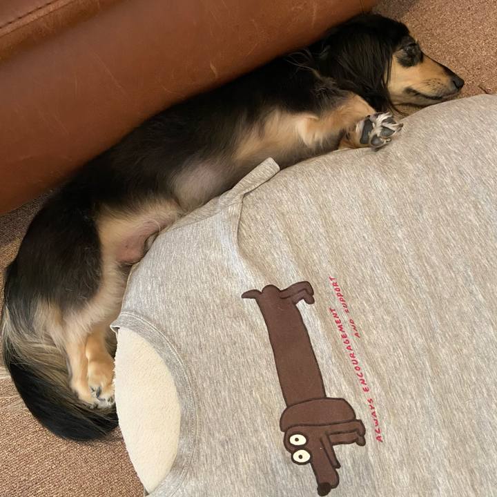 7097acc7 a61f 4ef9 afcd 1f1da45dfe12 1755743653614