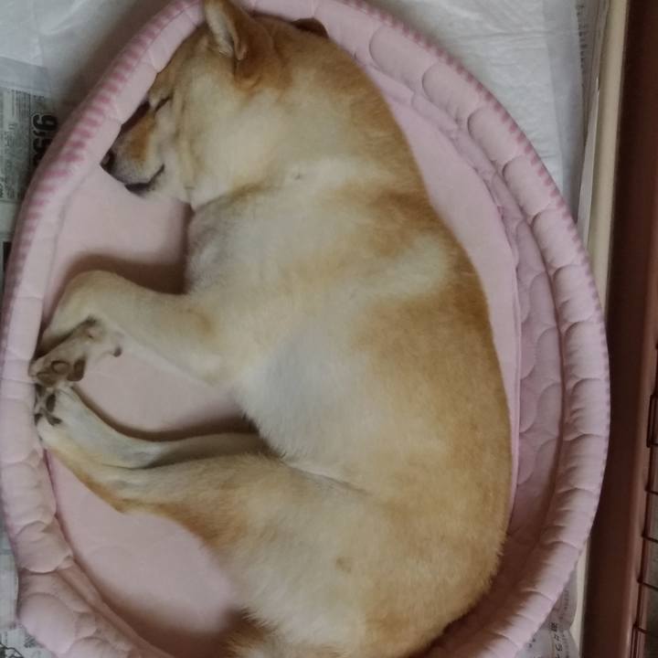 7097e10d 70b0 4ca9 9b98 eea24b66ec64 1593954837940