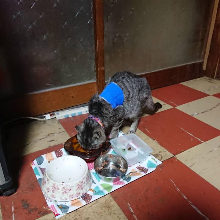 7098b393 7ace 4988 a995 312032025ab8 1586808628432