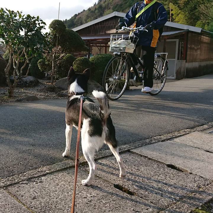 7098cd23 90f3 4de1 ad9a d95a0abbf42b 1615382190618