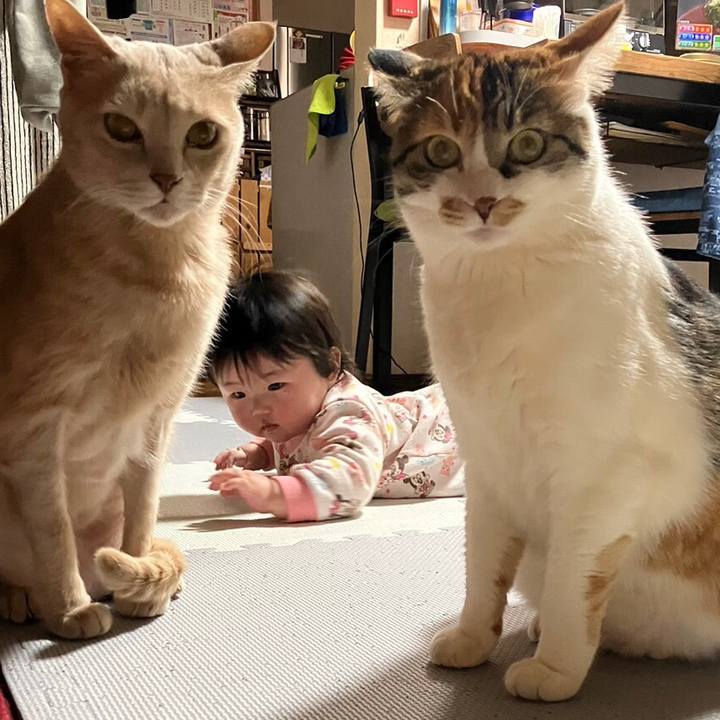 7098e80a 816a 4c59 b035 4c2cdcdea41e 1679223344217