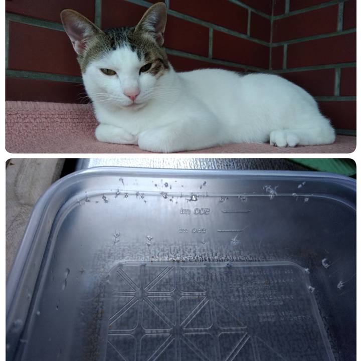 70993bd3 d855 4feb 8e0f c30fed0ab1f1 1661506074911