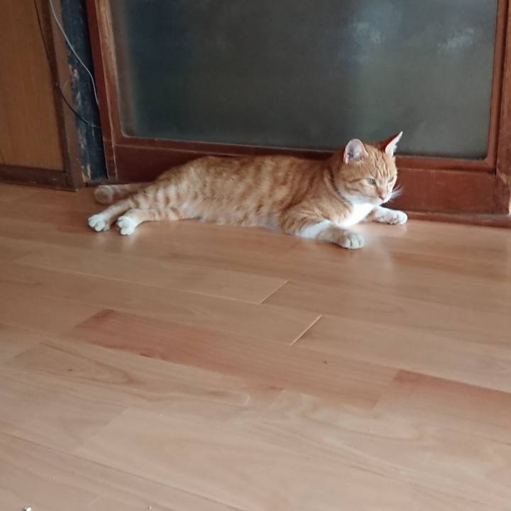 70994fc8 99cd 4593 8122 1c200c53bc39 1598142114047