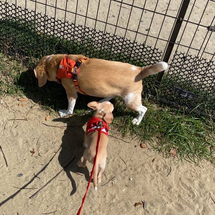 70996787 36c8 4892 81c6 cf5f69bf4acd 1664341550162