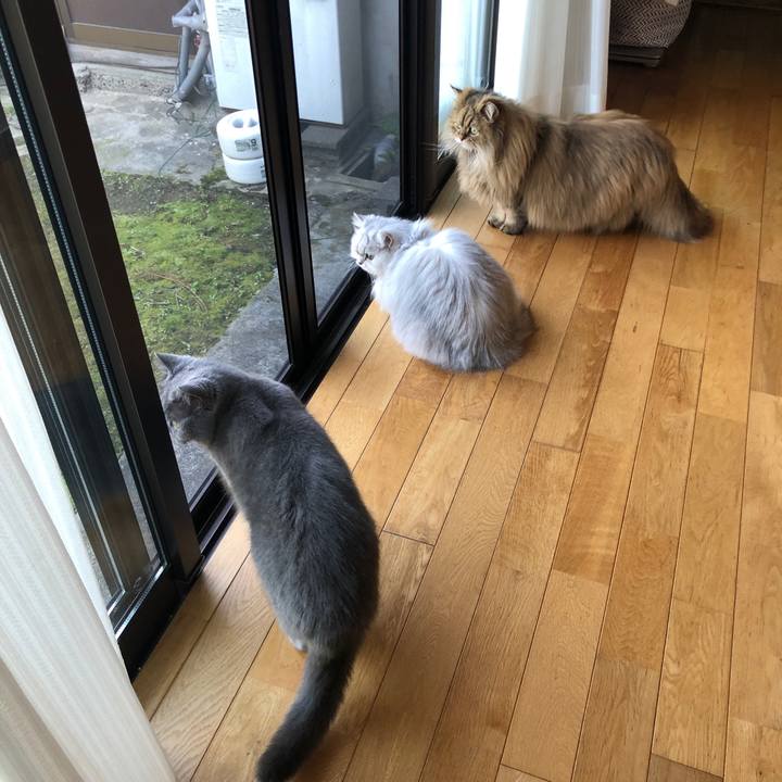 70998fc8 88f7 4cdb 9cca b208ff1227e8 1582518168305