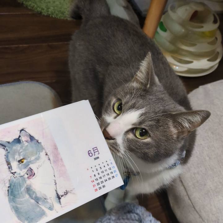 7099a46d 2648 4f43 ab74 5b4e8fc75f24 1767708579419