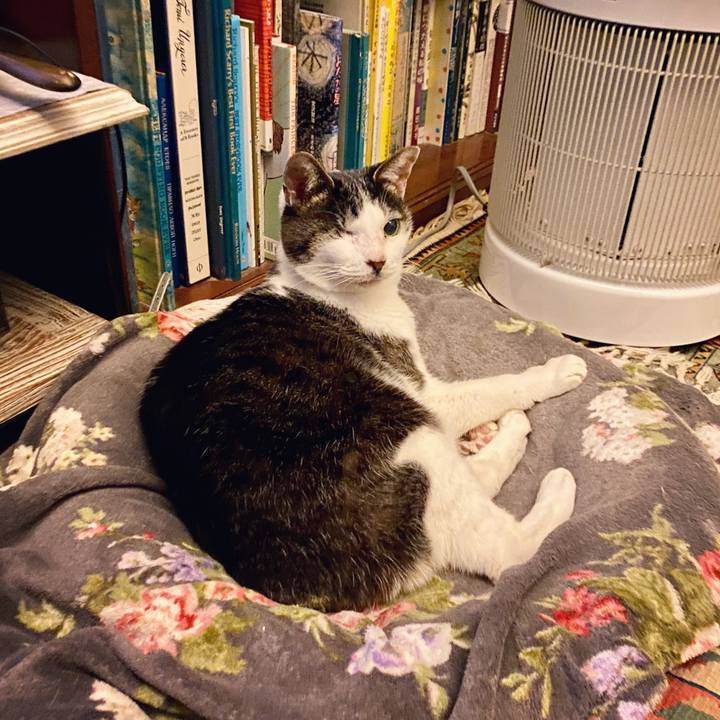 7099ef87 61ff 4064 9541 b6013e6b12f2 1614689009258