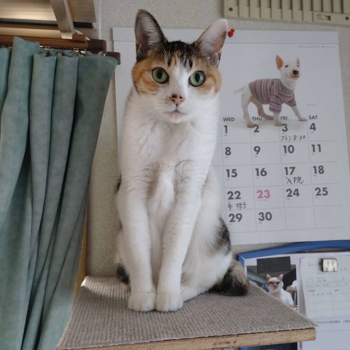 709a16e7 a5c4 4bbb 9b07 66de559aa418 1632524105449