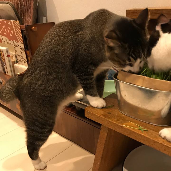 709a1819 96fa 4d99 a892 bdd22c5e0f61 1508763201061