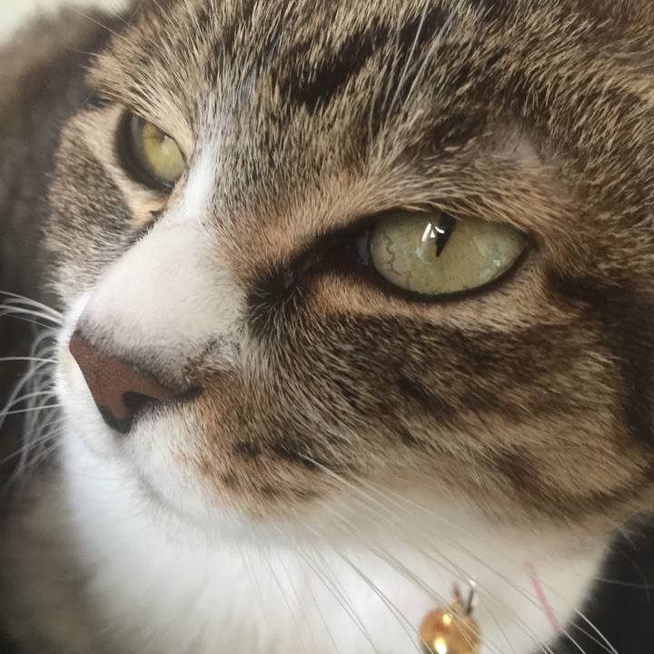 709a25f6 c412 4c40 853b f69621fdf5d8 1550026525799