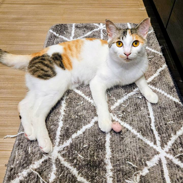 709a315b 9a82 4e2c bb28 5d34af760e16 1754309760109