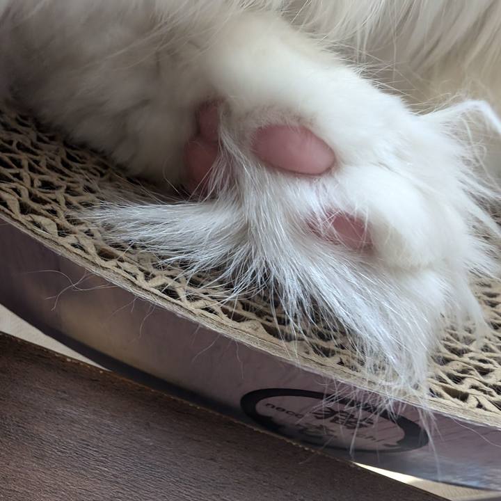 709a81d3 206d 465e a202 391ff9e81f1c 1730790910364