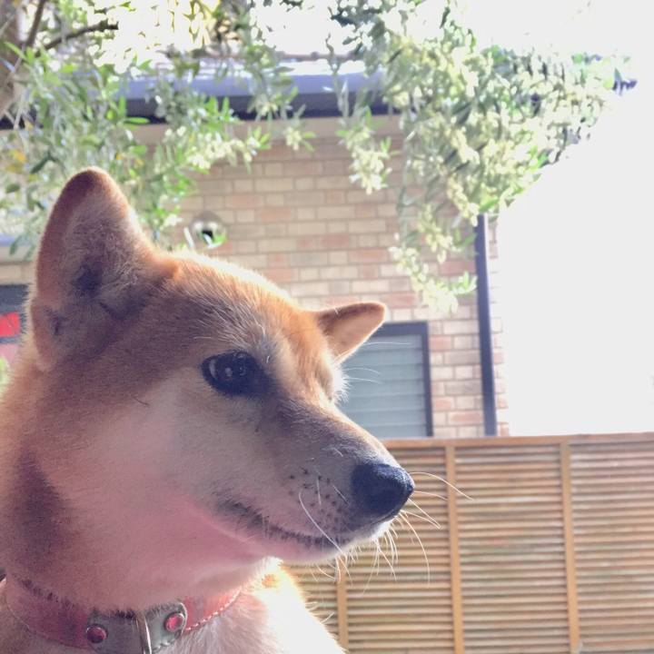 709acec7 3711 44a8 94d6 088aa647c6d7 1526980828892