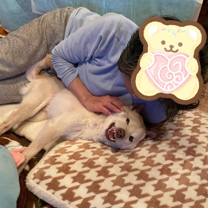 709adbc1 7c9c 49b2 96d8 48f950697a87 1678111612092