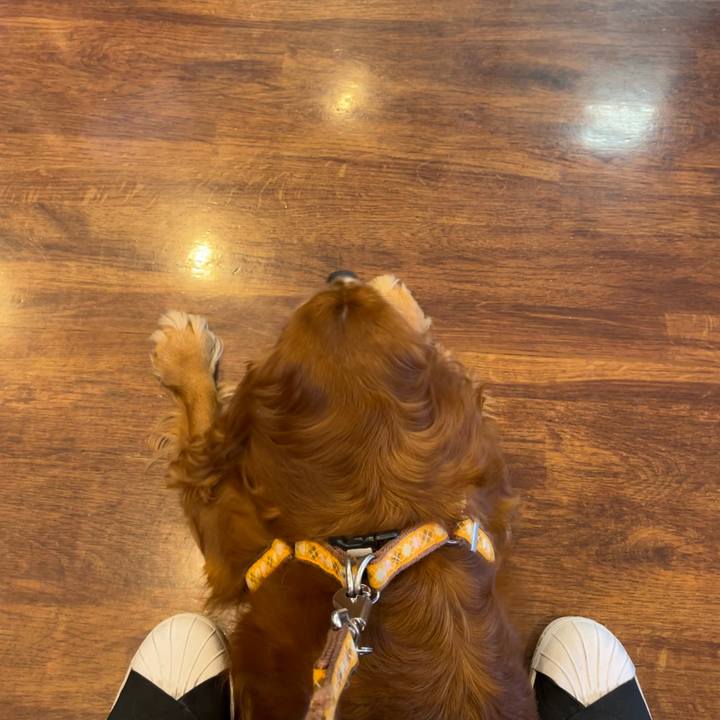 709af2db eb20 4858 9f4a 12a10f3179d5 1699660254743