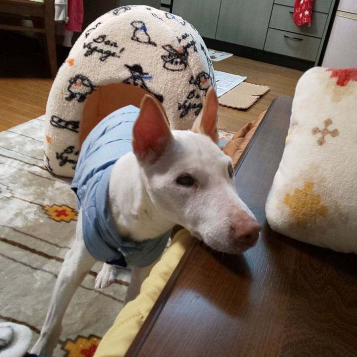 709b32b3 900f 4acc 9c60 31fc46fb6393 1576137547273