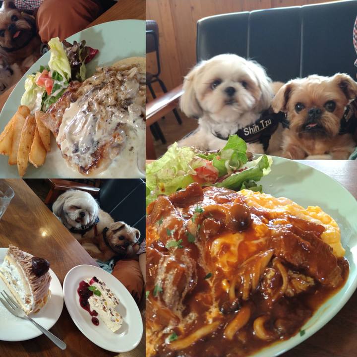 709b8606 cc32 47e9 a474 b01f87524f44 1633474558075