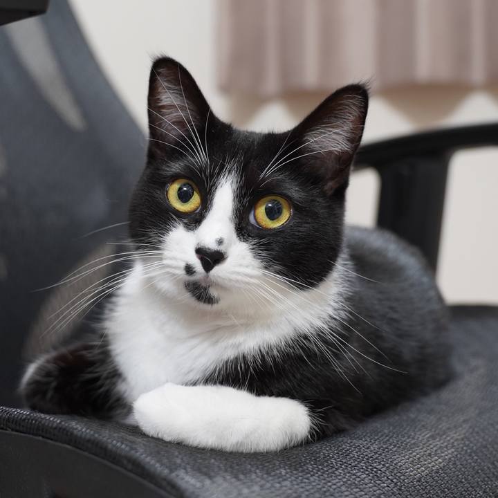 709b953a e55b 45b0 911c b9e72ca3e9de 1698758380603