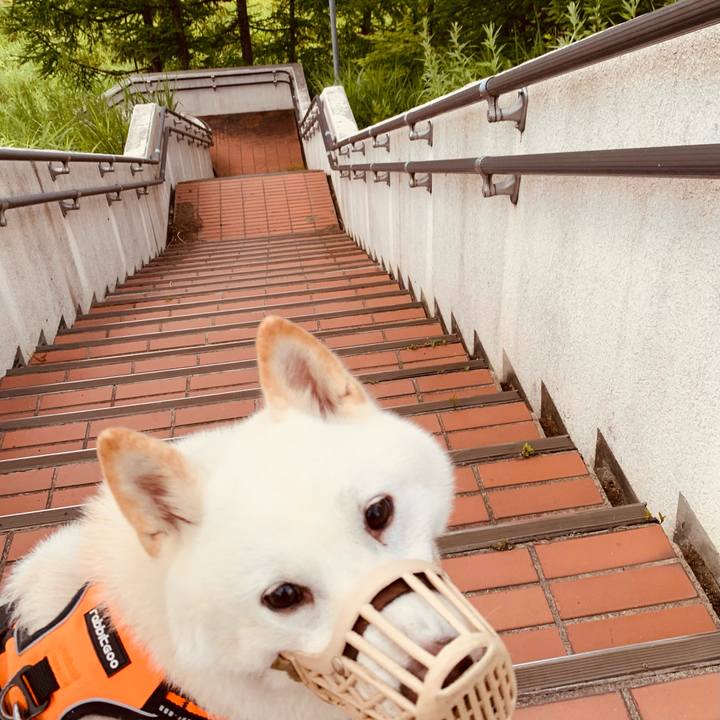 709bf01c 638f 4e74 a4ba cf0645470189 1626468477369