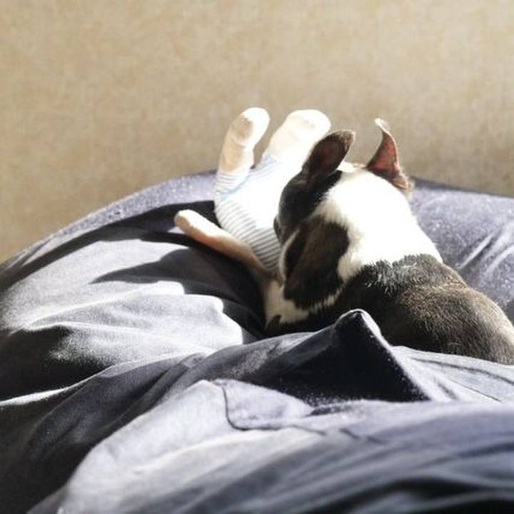 709c0189 c650 4832 8aef 698beb8de041 1530573163748