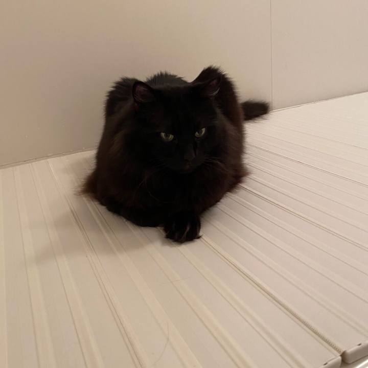 709c0c71 3d5a 4e71 9208 523b1e4c9084 1582027615050